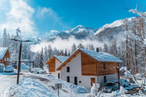 Ski et Détente Les Orres 1650 Animaux OK